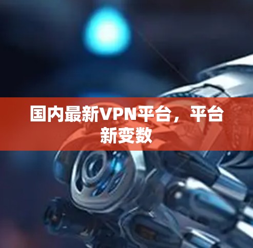 国内最新VPN平台,平台新变数