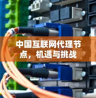 中国互联网代理节点,机遇与挑战