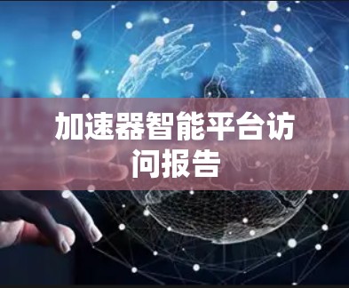 加速器智能平台访问报告