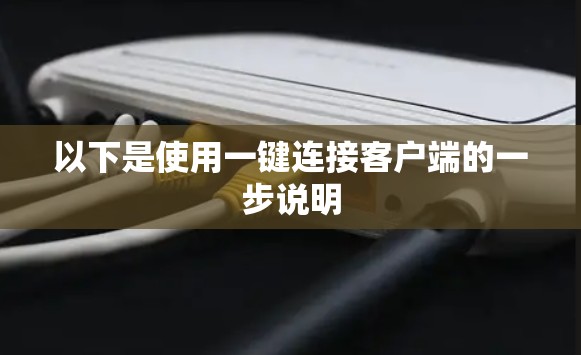 以下是使用一键连接客户端的一步说明