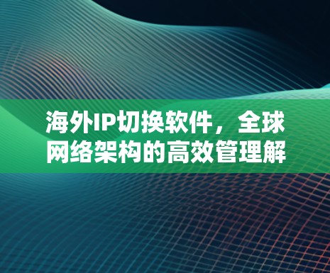 海外IP切换软件，全球网络架构的高效管理解决方案