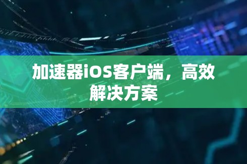 加速器iOS客户端,高效解决方案 加速器iOS客户端,高效解决方案