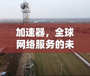加速器，全球网络服务的未来
