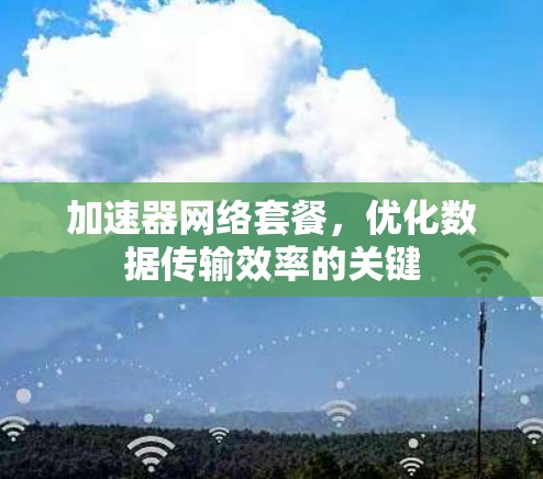 加速器网络套餐,优化数据传输效率的关键 加速器网络套餐,优化数据传输效率的关键