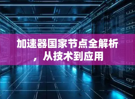 加速器国家节点全解析，从技术到应用