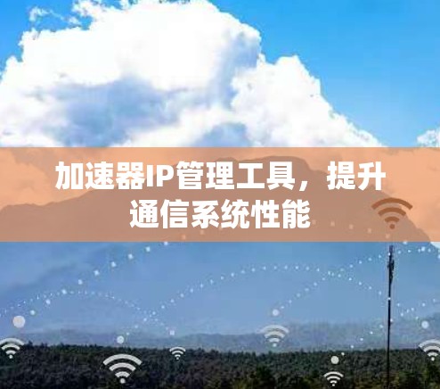 加速器IP管理工具,提升通信系统性能 加速器IP管理工具,提升通信系统性能