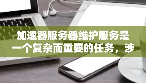 加速器服务器维护服务是一个复杂而重要的任务，涉及多方面的操作和流程。以下是对该服务的详细分析和总结