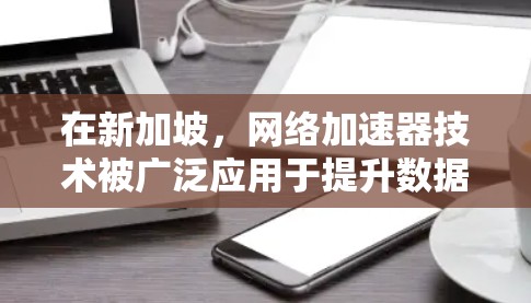 在新加坡,网络加速器技术被广泛应用于提升数据传输效率和用户体验。以下是对新加坡网络加速器的详细分析 在新加坡,网络加速器技术被广泛应用于提升数据传输效率和用户体验。以下是对新加坡网络加速器的详细分析