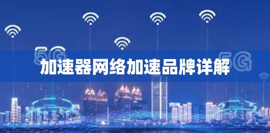 加速器网络加速品牌详解 加速器网络加速品牌详解