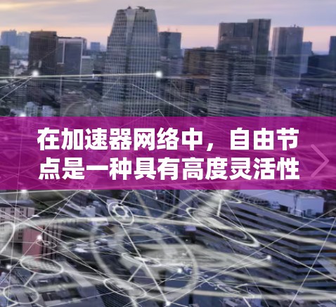 在加速器网络中，自由节点是一种具有高度灵活性的节点，它们可以根据网络的需求进行多种任务的执行，而不受固定功能的限制。以下是对自由节点的详细分析