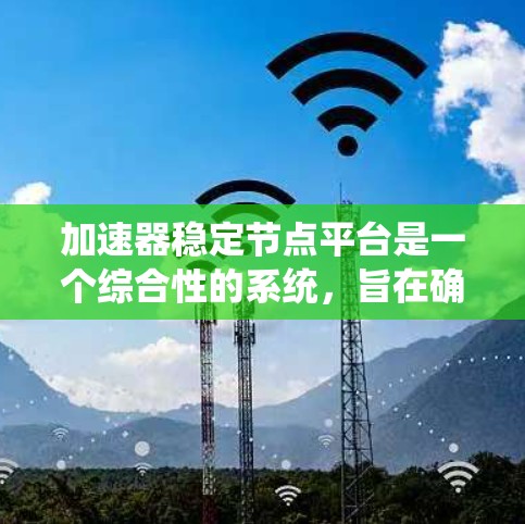 加速器稳定节点平台是一个综合性的系统，旨在确保加速器在各种计算环境中稳定、高效地运行。以下是对该平台的详细分析和总结