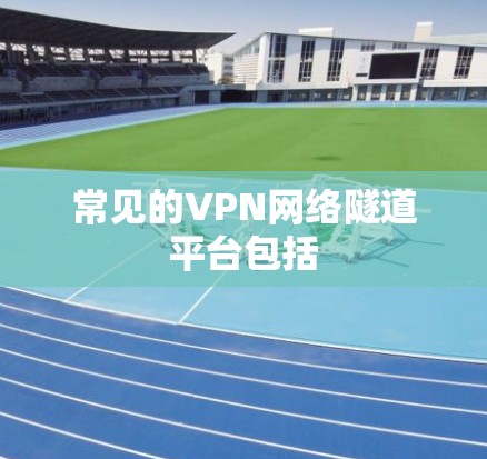 常见的VPN网络隧道平台包括