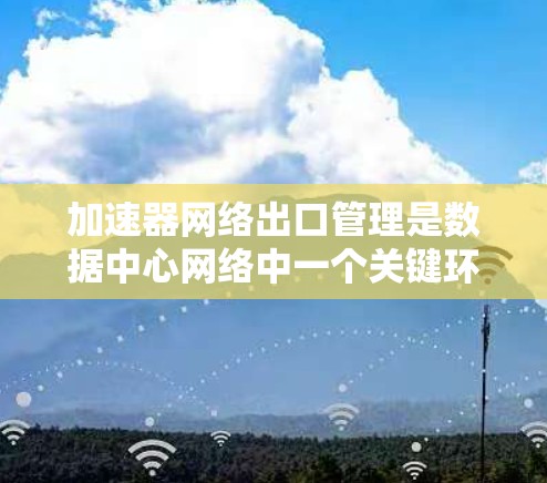 加速器网络出口管理是数据中心网络中一个关键环节，旨在优化外部数据传输性能。以下是对该管理的详细分析