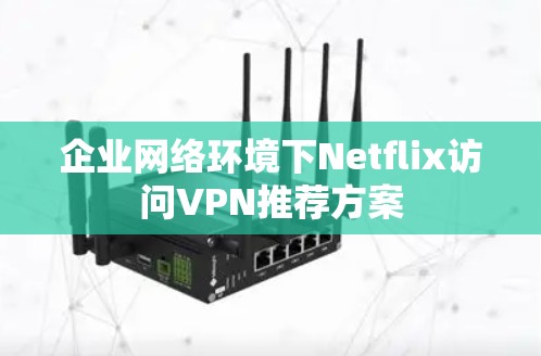 企业网络环境下Netflix访问VPN推荐方案