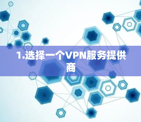 1.选择一个VPN服务提供商