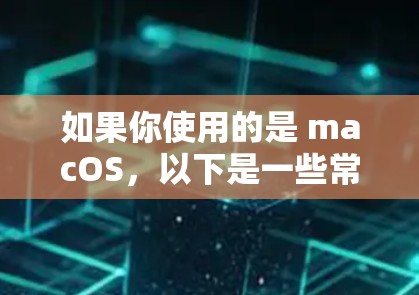如果你使用的是 macOS，以下是一些常用的网络加速工具，可以帮助你提升网络性能