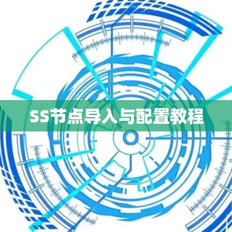 SS节点导入与配置教程 SS节点导入与配置教程