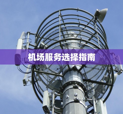 机场服务选择指南 机场服务选择指南