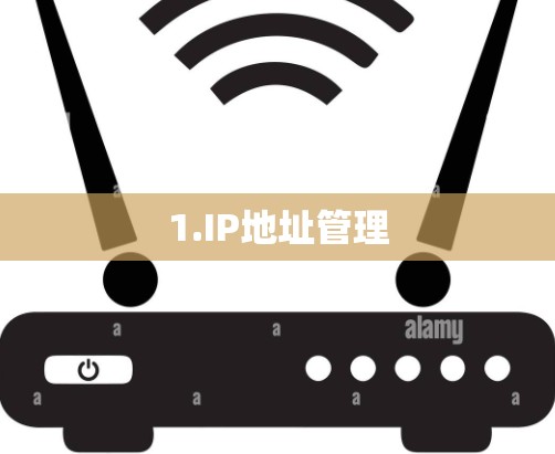 1.IP地址管理