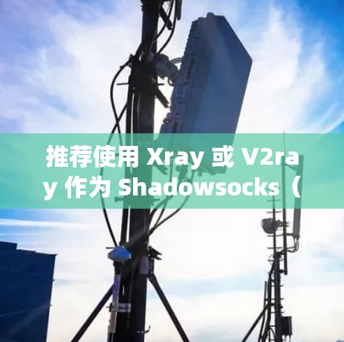 推荐使用 Xray 或 V2ray 作为 Shadowsocks（SS）代理客户端。它们支持多种协议，功能强大，适合大多数用户的需求