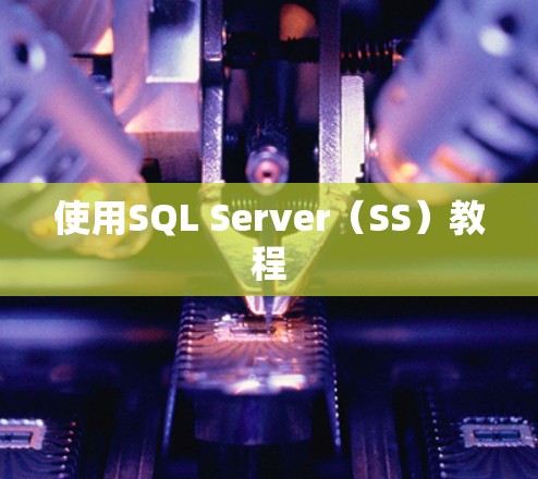 使用SQL Server（SS）教程