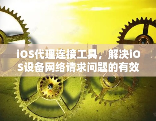 iOS代理连接工具，解决iOS设备网络请求问题的有效方案