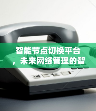 智能节点切换平台,未来网络管理的智能化解决方案 智能节点切换平台,未来网络管理的智能化解决方案