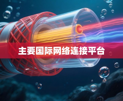 主要国际网络连接平台 主要国际网络连接平台