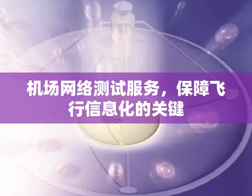 机场网络测试服务,保障飞行信息化的关键 机场网络测试服务,保障飞行信息化的关键