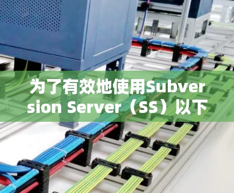 为了有效地使用Subversion Server（SS）以下是分步骤的指南
